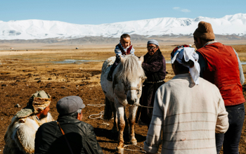 Mongol Nomadic Camp и парк «Хустай»