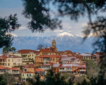 Кахетия: монастырь Бодбе, Сигнахи, Дом-музей князей Чавчавадзе и Телави