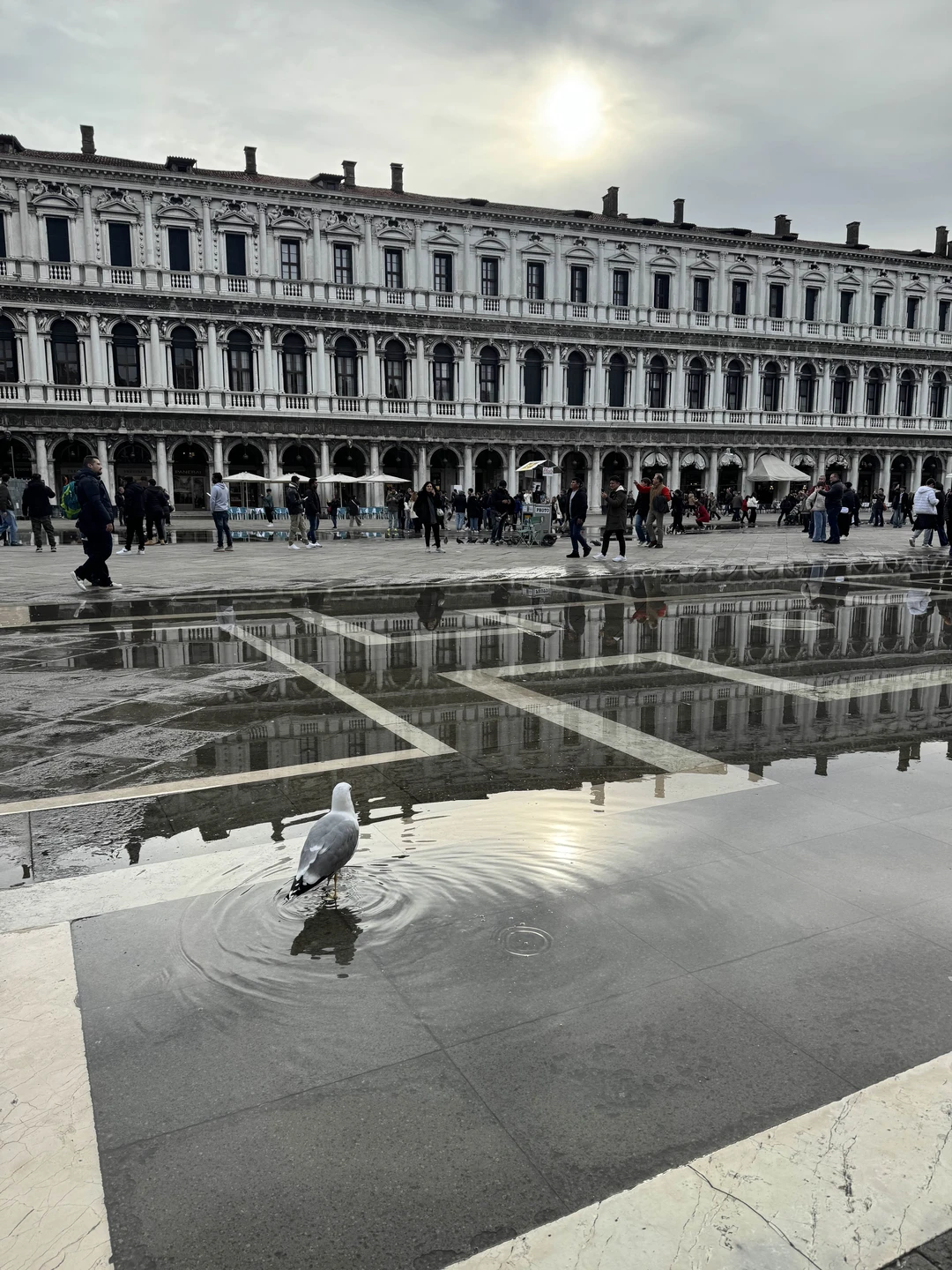 С Ольгой получилась очень душевная прогулка по красотам Венеции. Экскурсия была обзорная, но с авторскими дополнениями