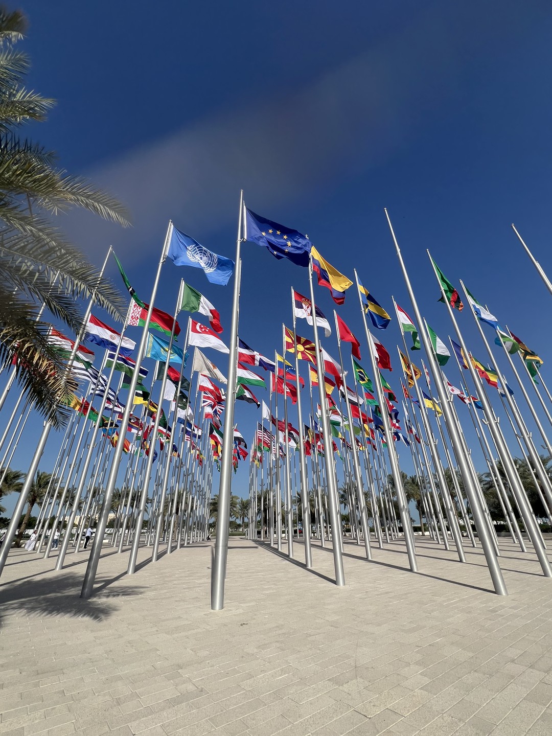 Моя поездка в Доху выпала на новый 2026 год, и, по удачному стечению обстоятельств, на экскурсии,