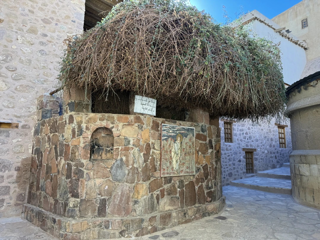 12-13.01.2026 года мы побывали в двух замечательных местах - на Горе Моисея и в Монастыре Святой