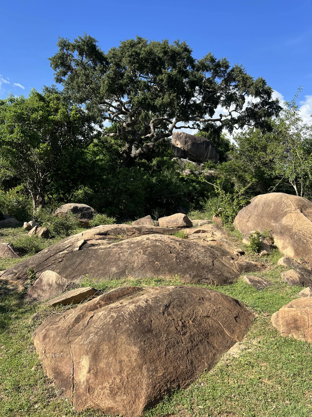 Очень рекомендую эту экскурсию. Дорога от отеля прошла незаметно: столько интересной истории, слушали втроем с 9-летним