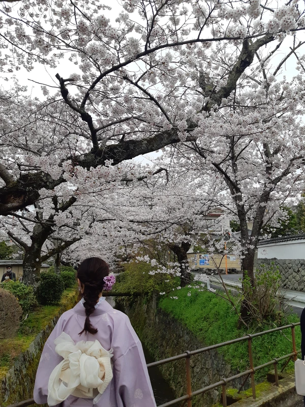 Открывая Киото