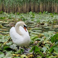 Фото отзыва 2: экскурсия "Липская пещера и прогулка по Риеке Црноевича до Скадарского озера"