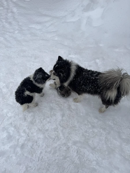 Познавательно, подробно, знающий и комфортный гид. Единственное, что могу предложить. это чуть четче обозначать время, для
