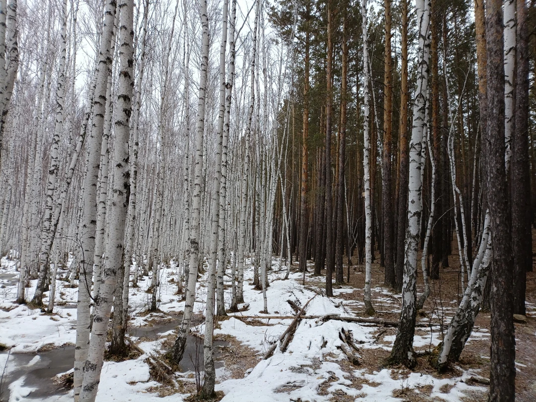 Экскурсия занимает целый день, но не пожалели ни об одной минуте. Чудесная природа и хорошая организация экскурсии