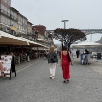 Фото отзыва 1: экскурсия "Порту и город портвейна Вила Нова де Гайя"