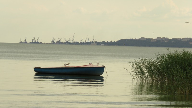 Вдоль Дона - к побережью Азовского моря