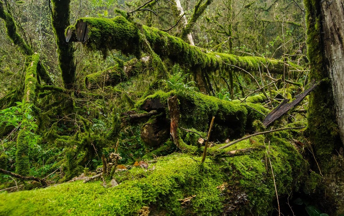 Побег из отеля: треккинг к водопадам и каньонам Сочи (2/6)