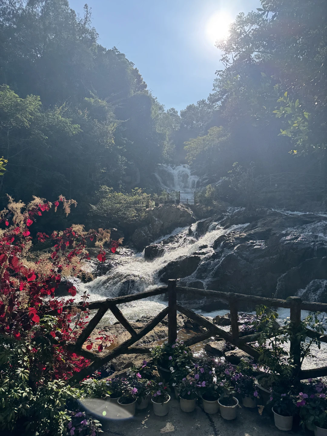 Первый раз побывали во Вьетнаме. Долго выбирали экскурсии по отзывам, остановились именно на этой. Супер сервис