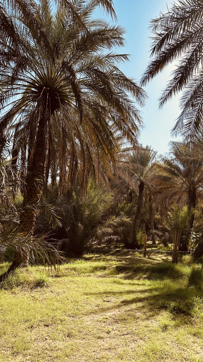 Очень необычная и интересная экскурсия. Хороший гид, он же отличный водитель. Ненавязчивая подача информации. Посетили прекрасные
