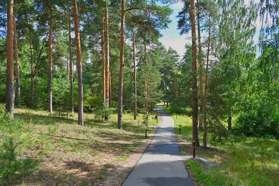 Моховые горы