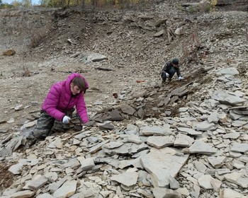 Краеведческий музей и поиск окаменелостей на карьере