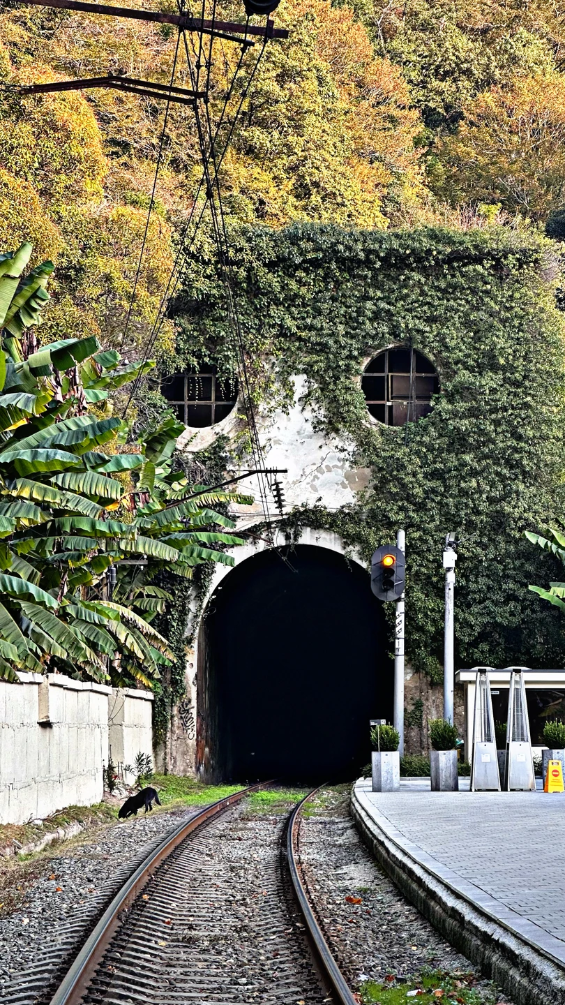 Рекомендую всем посетить экскурсию с Амиром