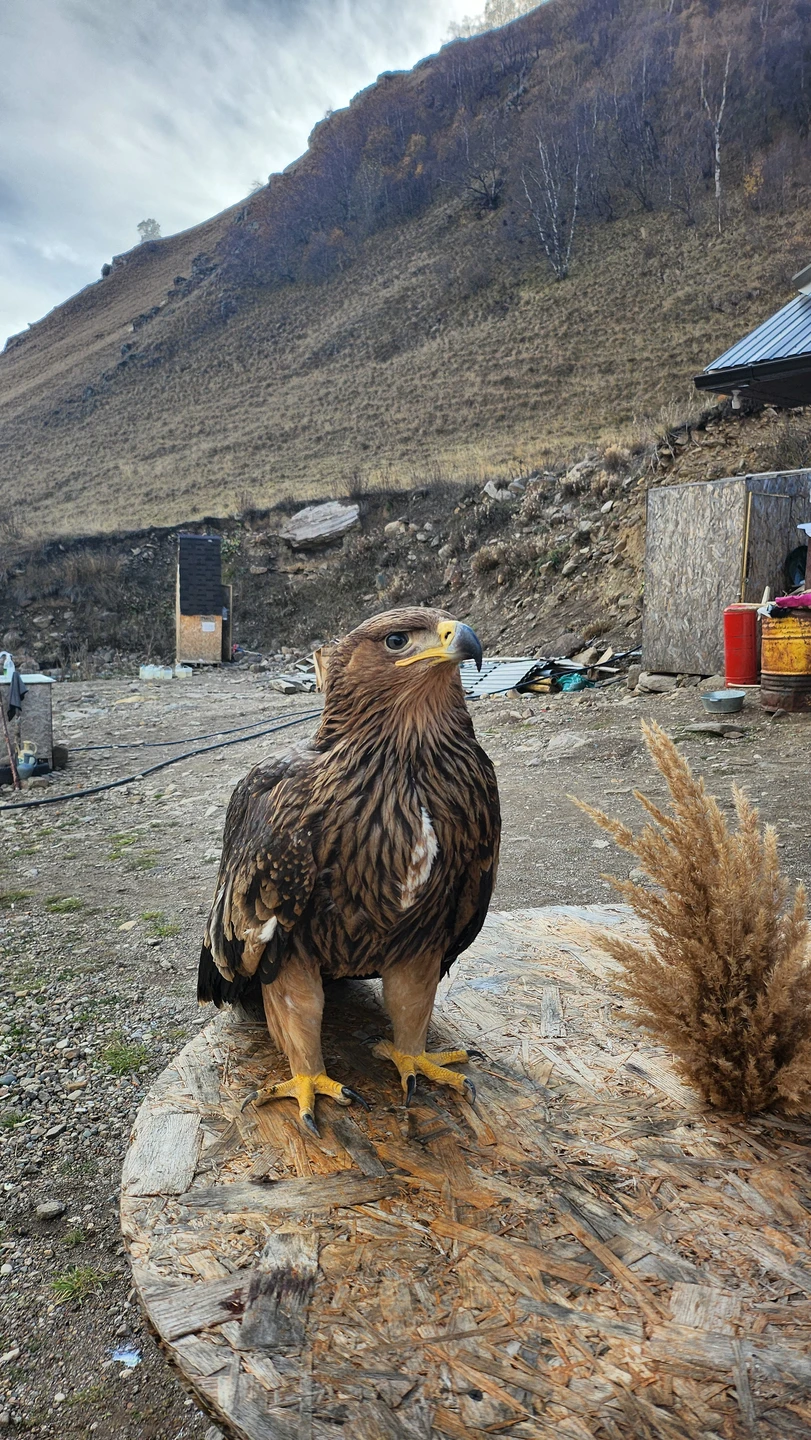 Джип-путешествие к необыкновенному урочищу Джилы-Су (Светлана)