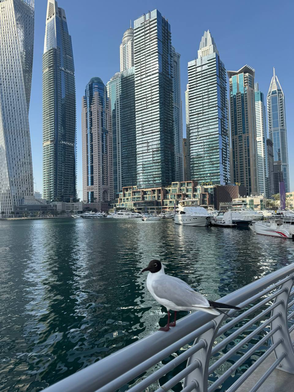 Были с друзьями на экскурсии Дубай самый-самый.