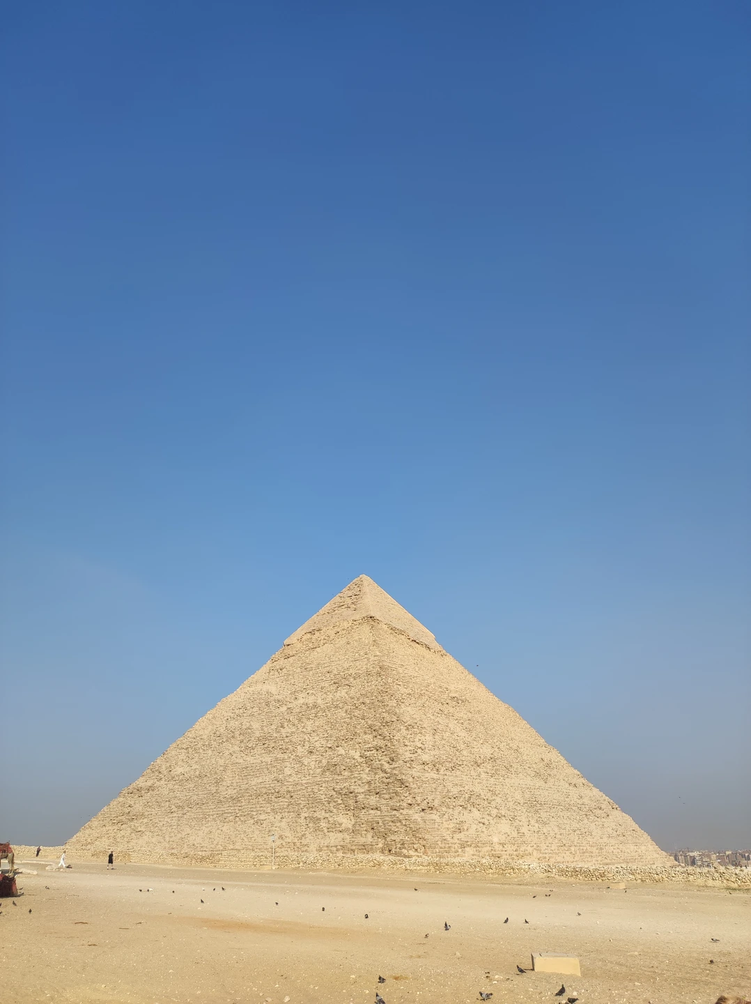 Экскурсия понравилась, гид был очень хороший, видно что рассказывает с любовью и знает и любит то