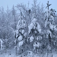 Фото отзыва 1: экскурсия "Ладожские шхеры и водопады Карелии за один день"