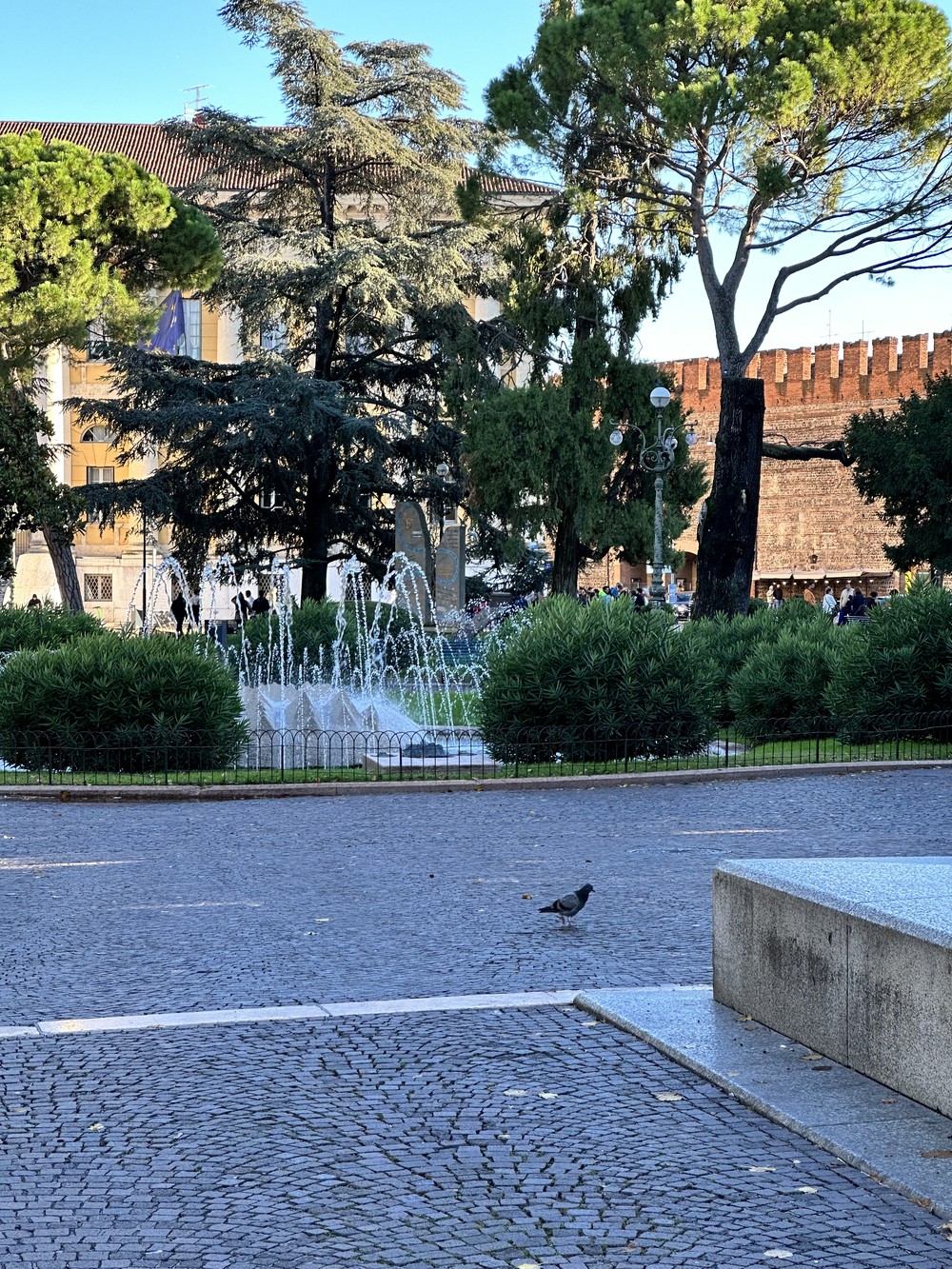 Древнеримское и средневековое прошлое Вероны (10/10)