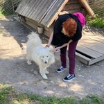 Арина