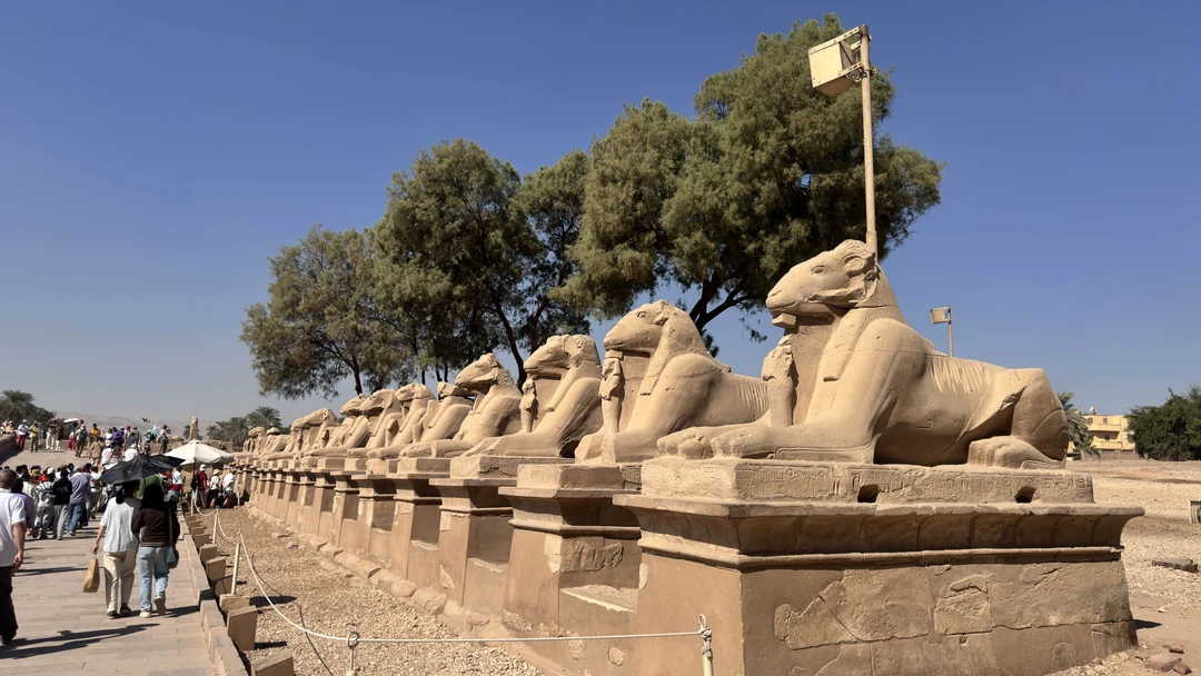 Мы вдвоём приобрели индивидуальную экскурсию в Дендеру и Луксор. Посетили эти места на автомобиле с водителем и экскурсоводом Тахой