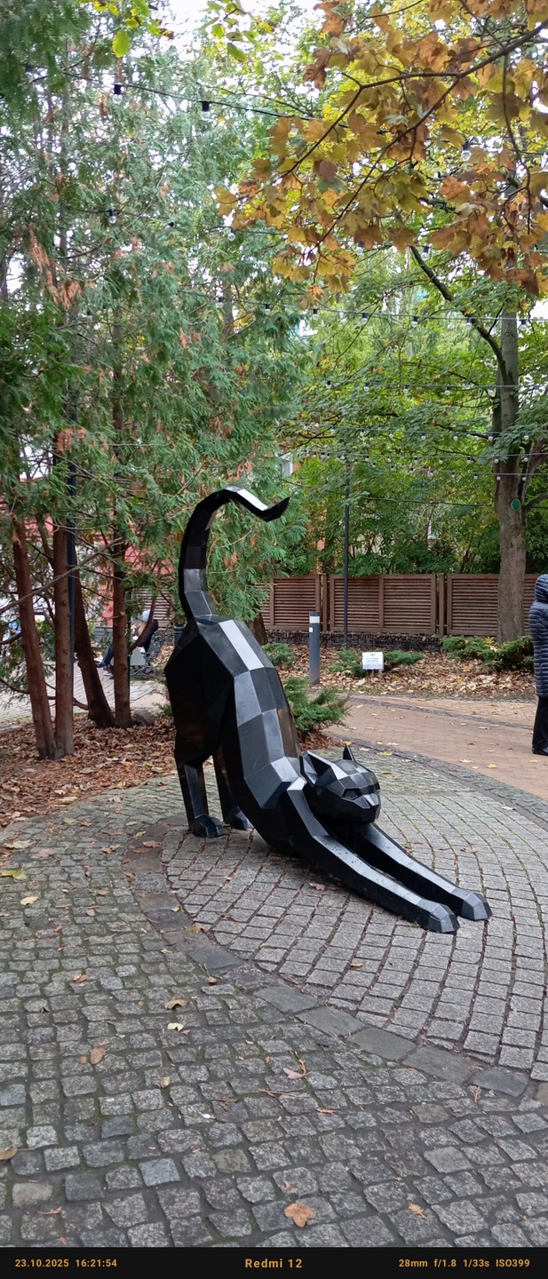 Отличная поездка, интересно, увлекательно, просьбы, пожелания всё отлично, даже туман не испортил впечатлений о поездке, туда