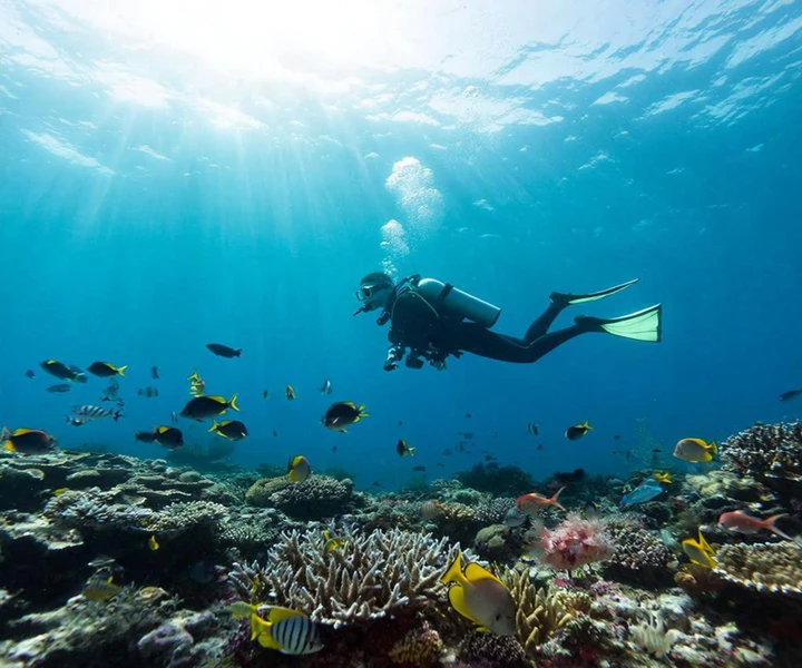 Адреналин глубин: магия острова Хон Дой Мой