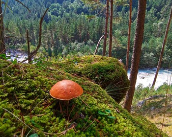 На внедорожниках к старинным аулам, башням и пещере