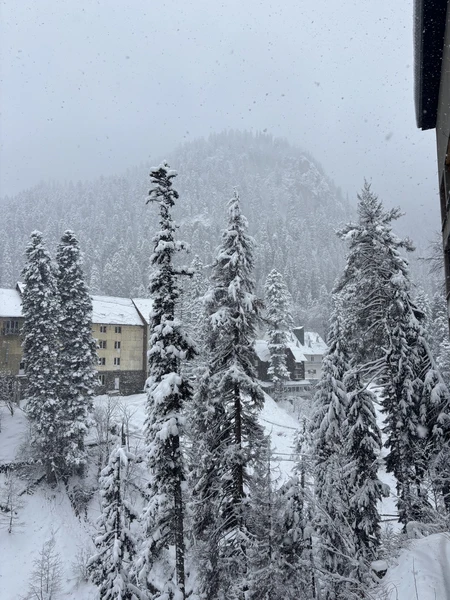 Экскурсия потрясающая! Мы поехали, когда в Кисловодске была, можно сказать, весна, а в Домбае была настоящая