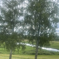 Фото отзыва 2: экскурсия "В Пушкинские Горы — за вдохновением поэта"