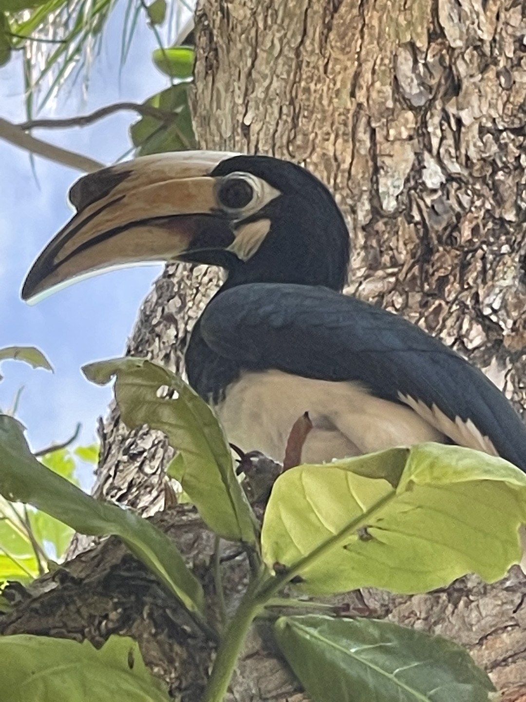 Были на Экскурсии 27 июня 2024г. Индивидуальная экскурсия на отдельной лодке, все экскурсия подстроена под нас!