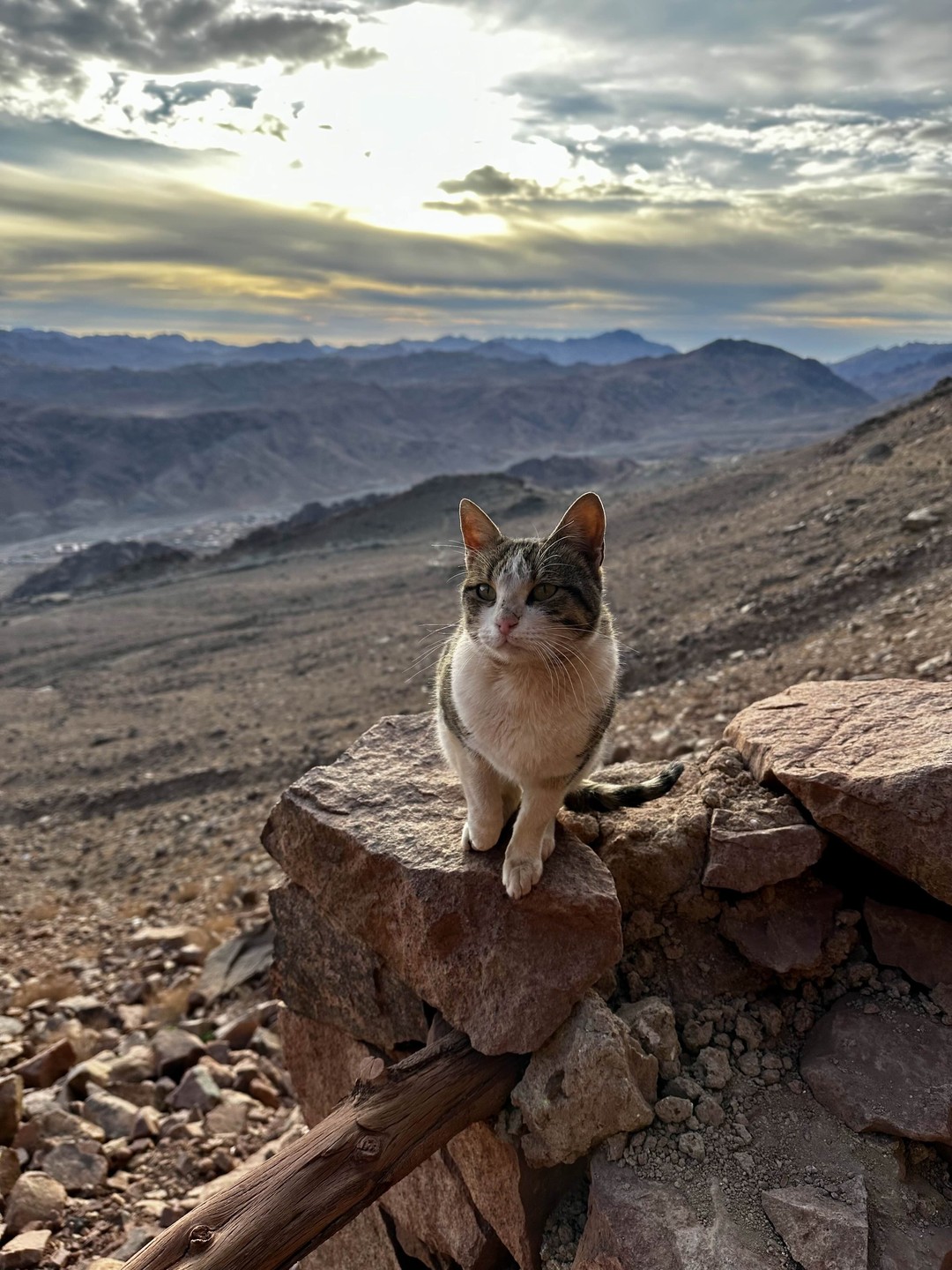 Очень понравилась данная экскурсия!
