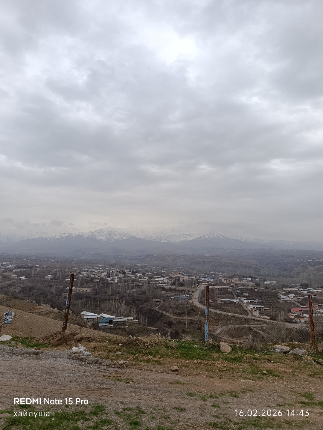 Из Ташкента - в Институт Солнца (Светлана)