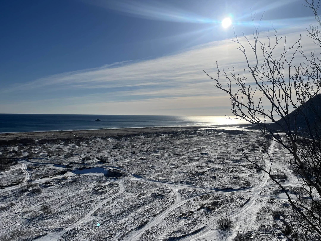 Получили массу впечатлений