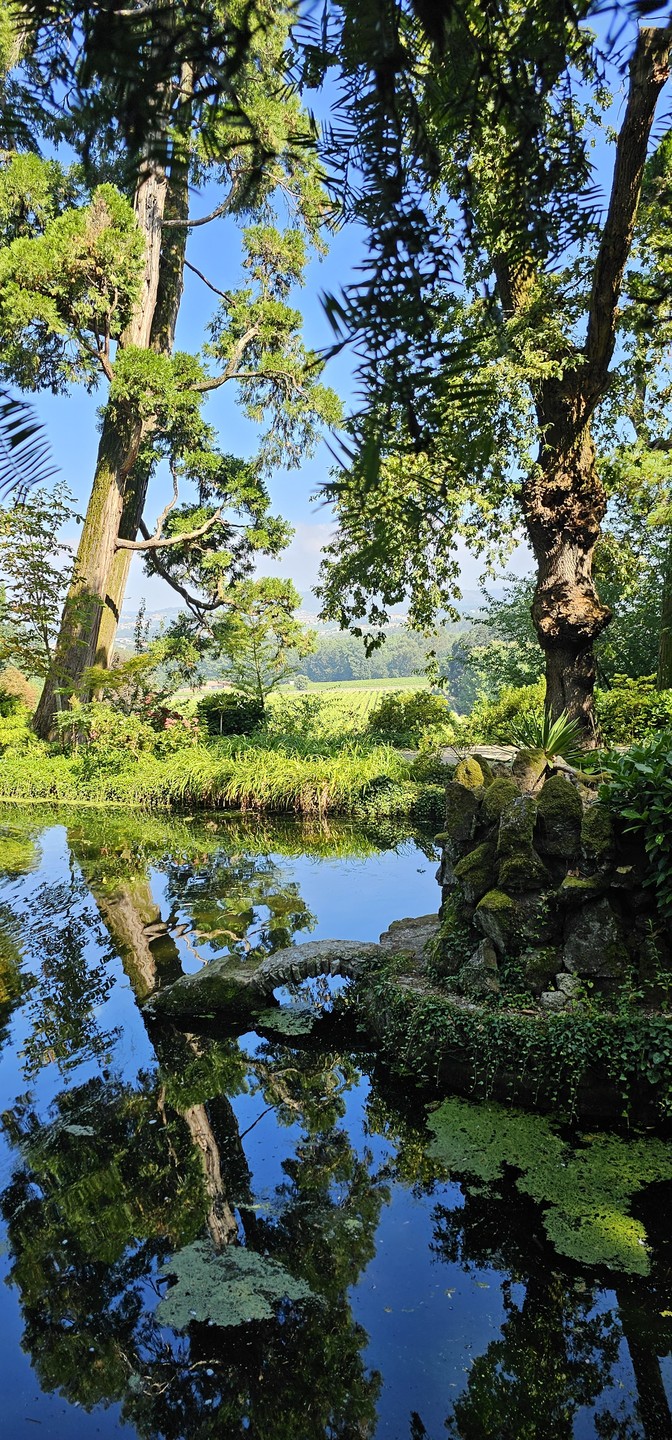 Очень понравилось! Гид умничка! Интересно и много рассказывал. Рекомендую.
