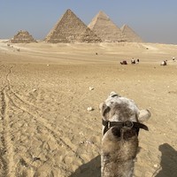 Фото отзыва 6: экскурсия "Влюбиться в Каир за 1 день!"