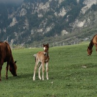 Фото отзыва 2: экскурсия "Невероятная Алания с послом республики и профессиональным фотографом"