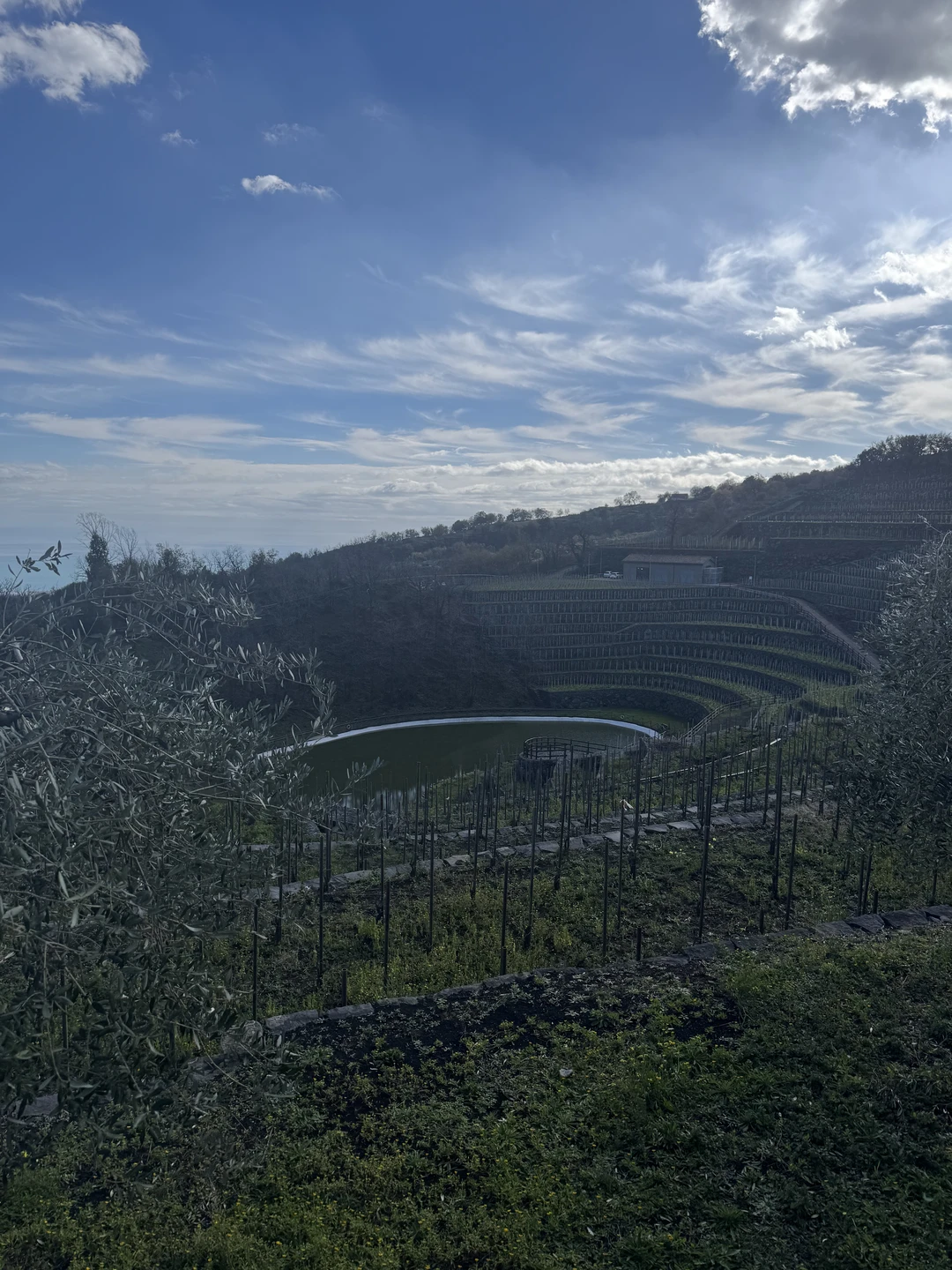 Этна в бокале вина (Tamara)