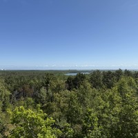 Фото отзыва 1: экскурсия "Куршская коса — природная сказка Балтики + курортный Зеленоградск"