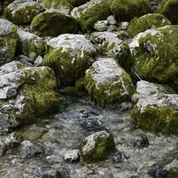 Фото отзыва 5: экскурсия "«Абхазский драйв»: озеро Рица и Гегский водопад"