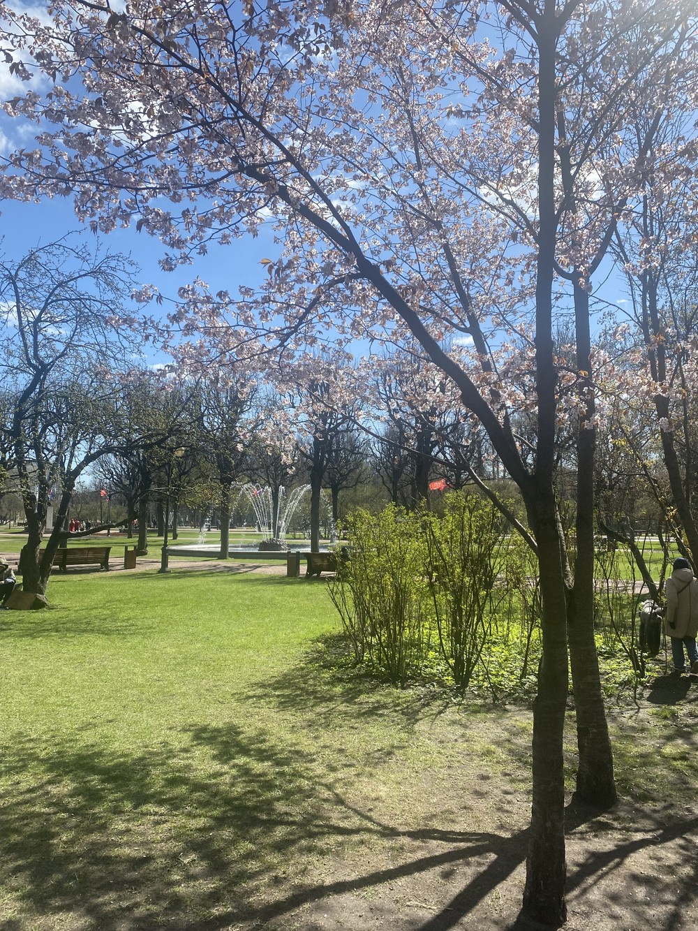 Смольный собор и Институт благородных девиц (11/11)