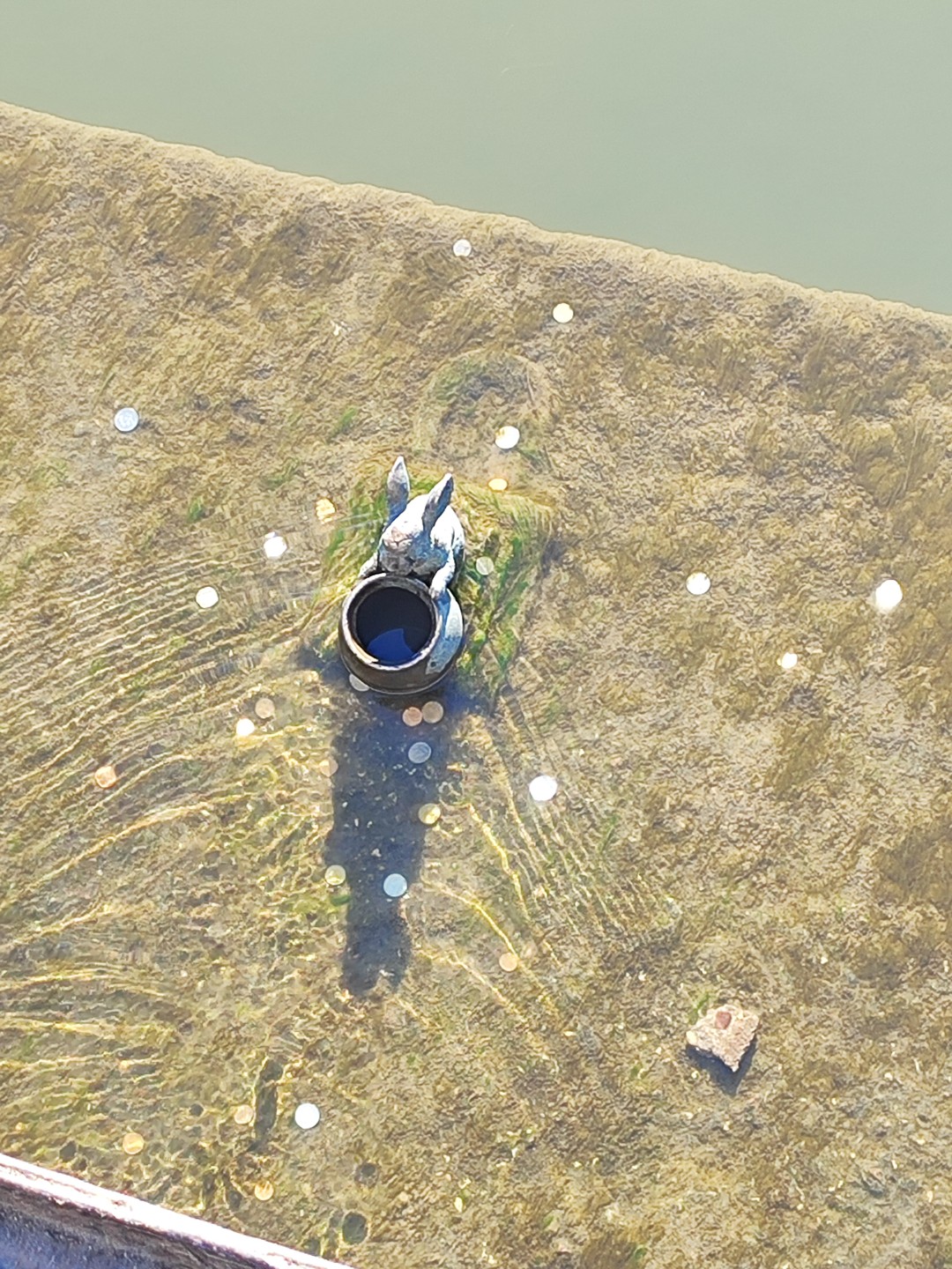 Мы были первый раз в Сергиев Посаде с дочкой 11лет. Экскурсия понравилась, 2 часа пролетели незаметно!