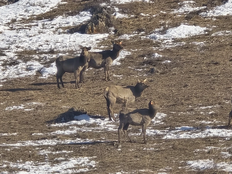 Выражаю огромную благодарность гиду организатору Николаю за увлекательную, позновательную экскурсию по Чуйскому тракту. Рекомендую всем не