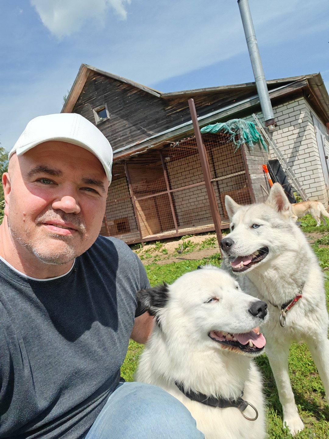Очень доброжелательные и игривые собачки:) Получил тонну удовольствия. Есть и молодые, и постарше. Хозяева тоже очень
