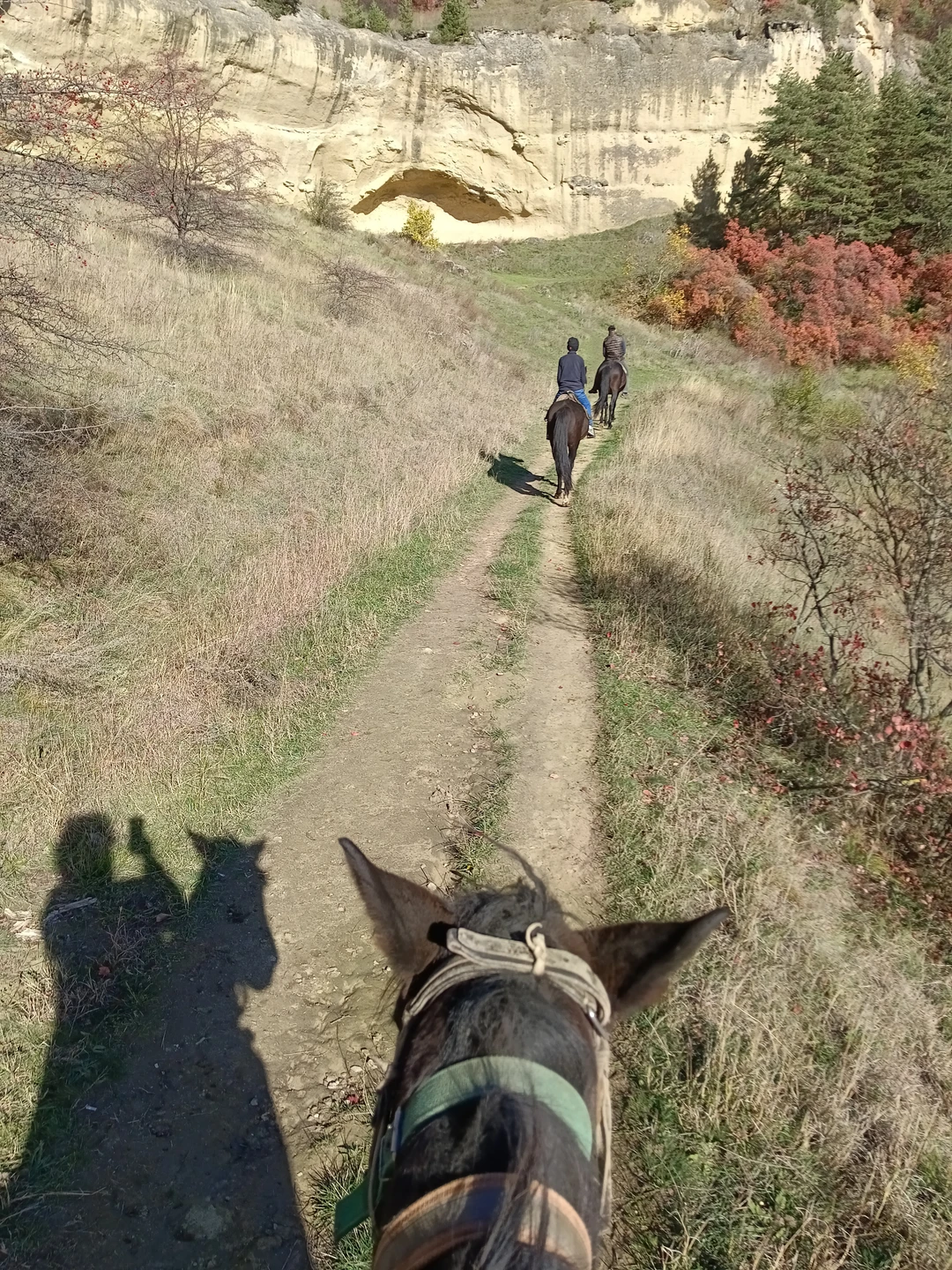 Спасибо за красивую прогулку. Сын очень доволен. Лошади спокойны и легко управляемы