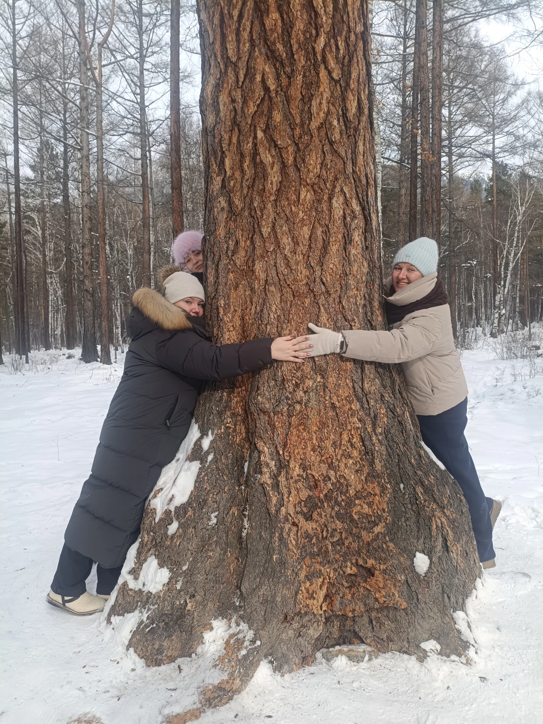 Добрый день!