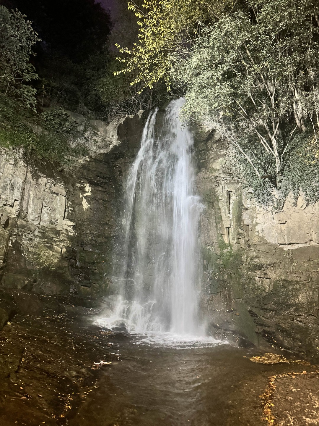 Экскурсия очень понравилась. Организовано на высшем уровне, все очень чётко, без задержек. Увидели много достопримечательностей. Побывали