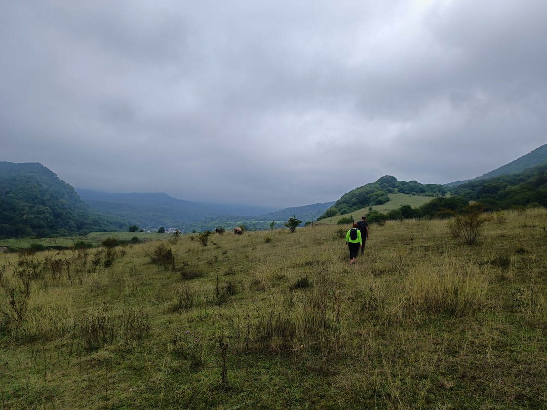 Путешествие на поляну проходило через сказочный лес и было добавлено туманной погодой, добавившей особый колорит. Одно