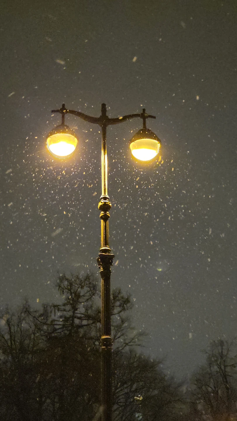 Никогда не видела Питер таким спокойным и пустынным. Очень атмосферно и здорово получилось. Спасибо!