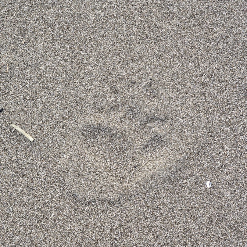 Это было очень длинное и увлекательное путешествие. Одна только дорога – настоящий аттракцион сродни американским горкам